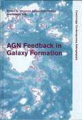 AGN feedback in galaxy formation
