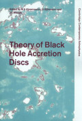 Theory of black hole accretion discs