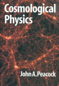 Cosmological physics